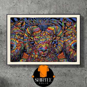 Widespread Panic Red Rocks Amphitheatre 2025 Morrison CO On June 27 28 29 Home Decor Poster Canvas